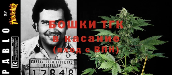 прущий лед Алзамай