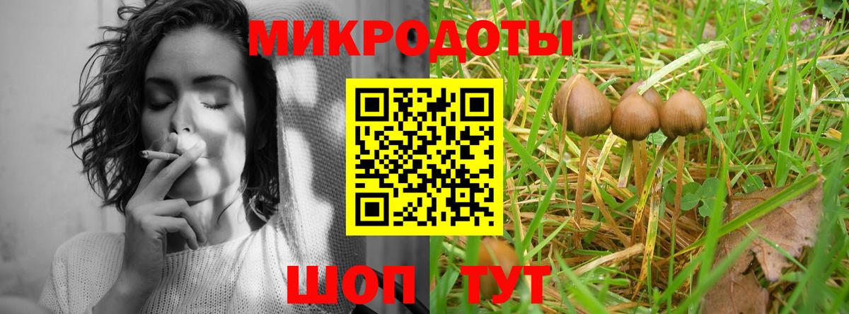 Старая Купавна  Псилоцибиновые грибы Psilocybe  Вход с VPN 